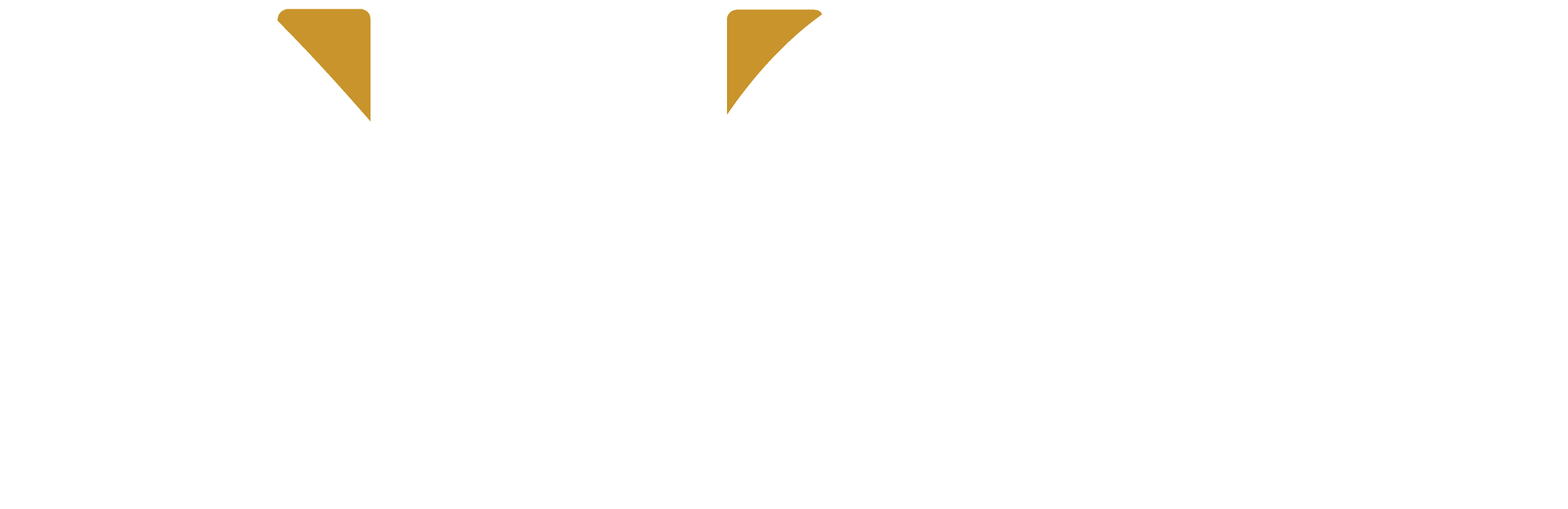 GSMS